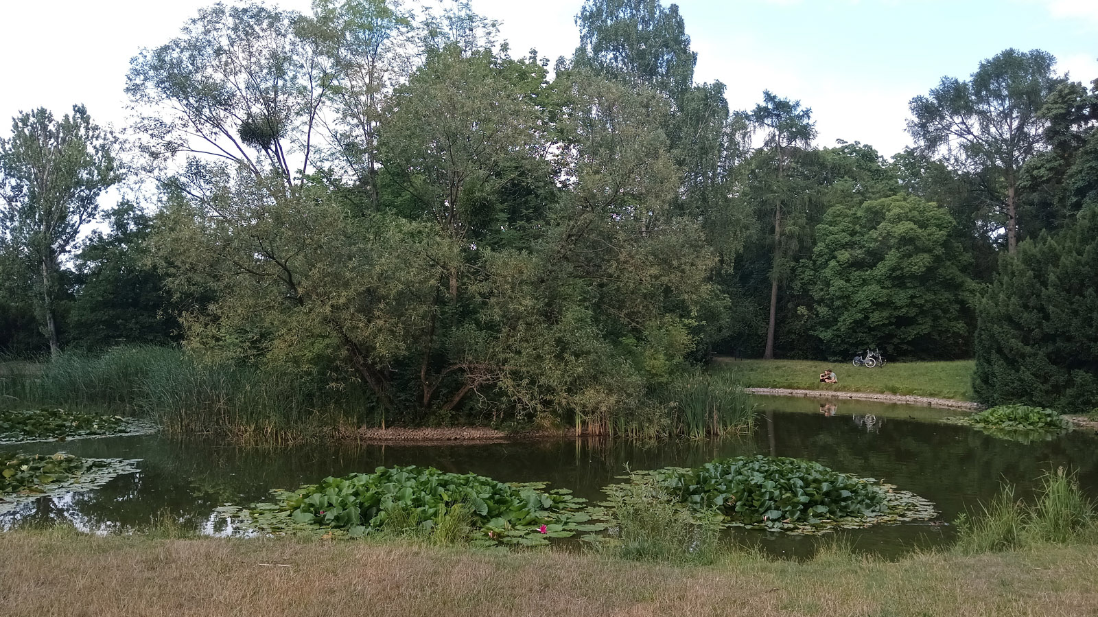 COOLING HAVENS